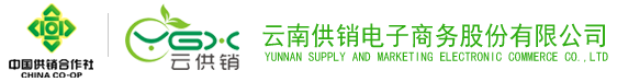 金年会电子商务股份有限公司